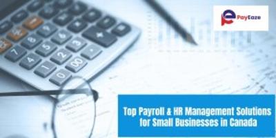 Top Payroll & HR Software for Small Businesses in Canada | PayEaze